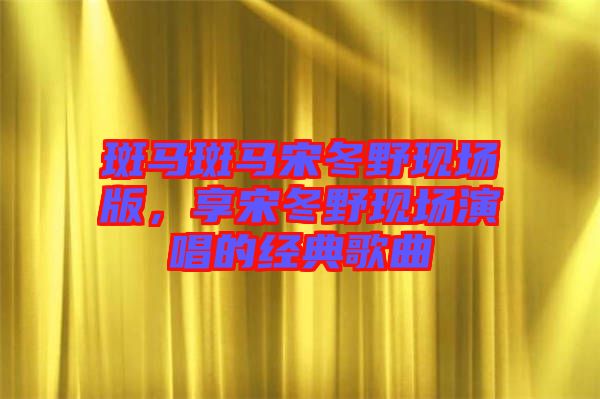 斑馬斑馬宋冬野現(xiàn)場版，享宋冬野現(xiàn)場演唱的經(jīng)典歌曲