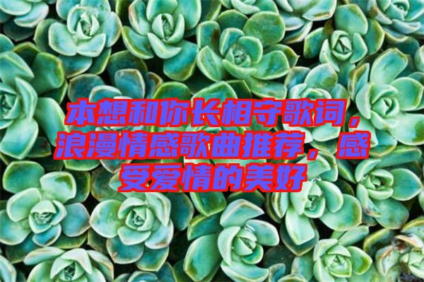 本想和你長相守歌詞，浪漫情感歌曲推薦，感受愛情的美好