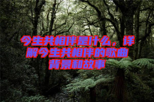 今生共相伴是什么，詳解今生共相伴的歌曲背景和故事