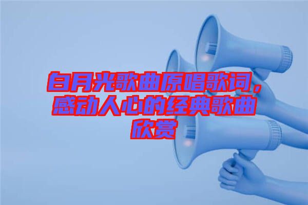 白月光歌曲原唱歌詞，感動人心的經(jīng)典歌曲欣賞