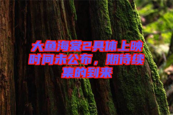 大魚海棠2具體上映時(shí)間未公布，期待續(xù)集的到來