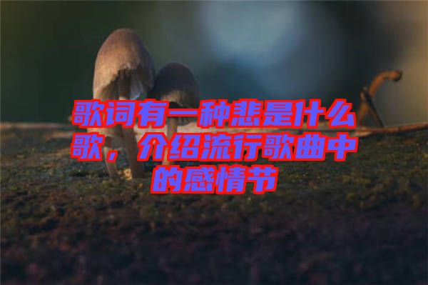 歌詞有一種悲是什么歌，介紹流行歌曲中的感情節(jié)