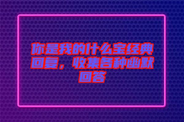 你是我的什么寶經(jīng)典回復(fù)，收集各種幽默回答