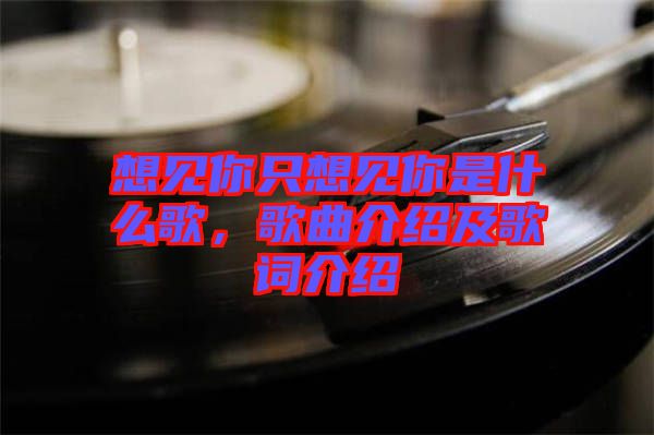 想見你只想見你是什么歌，歌曲介紹及歌詞介紹