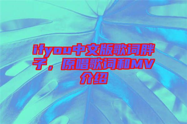 ifyou中文版歌詞胖子，原唱歌詞和MV介紹