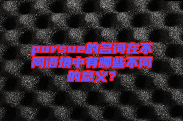 pursue的名詞在不同語(yǔ)境中有哪些不同的意義？