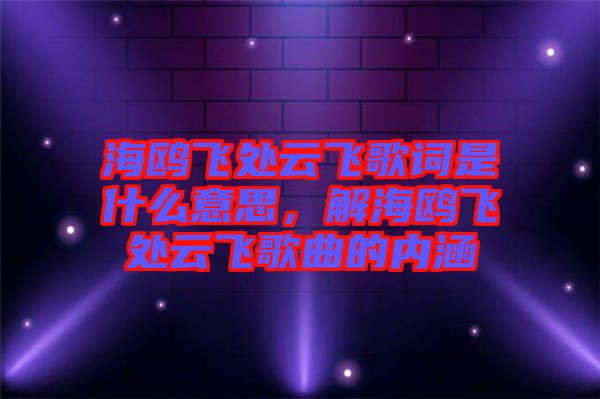 海鷗飛處云飛歌詞是什么意思，解海鷗飛處云飛歌曲的內(nèi)涵