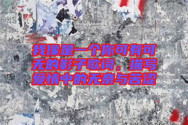 我像是一個你可有可無的影子歌詞，描寫愛情中的無奈與苦澀