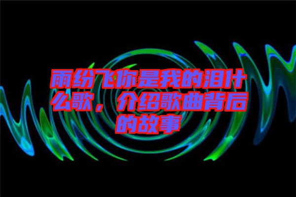 雨紛飛你是我的淚什么歌，介紹歌曲背后的故事