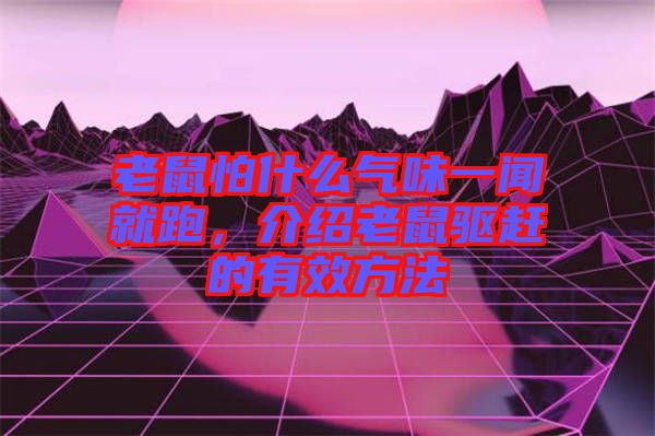 老鼠怕什么氣味一聞就跑，介紹老鼠驅(qū)趕的有效方法