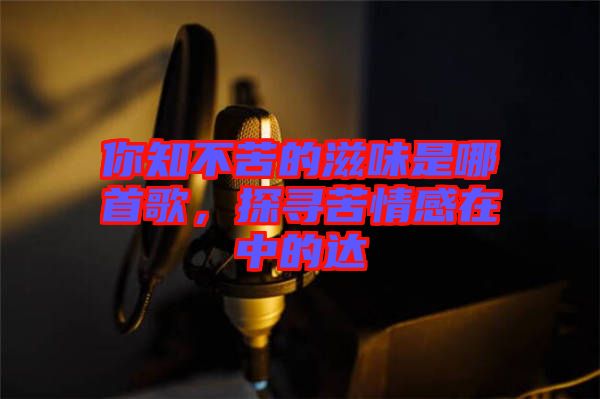 你知不苦的滋味是哪首歌，探尋苦情感在中的達(dá)