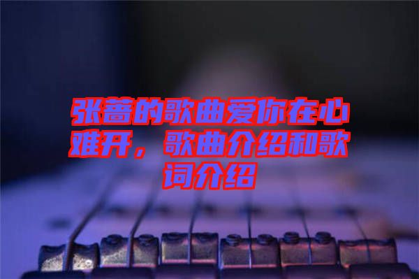 張薔的歌曲愛你在心難開，歌曲介紹和歌詞介紹