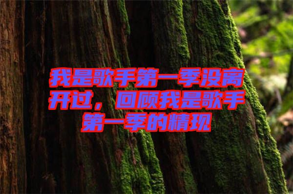 我是歌手第一季沒離開過，回顧我是歌手第一季的精現(xiàn)