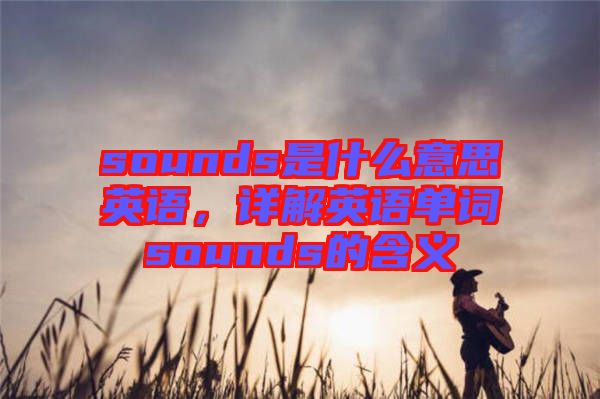 sounds是什么意思英語，詳解英語單詞sounds的含義