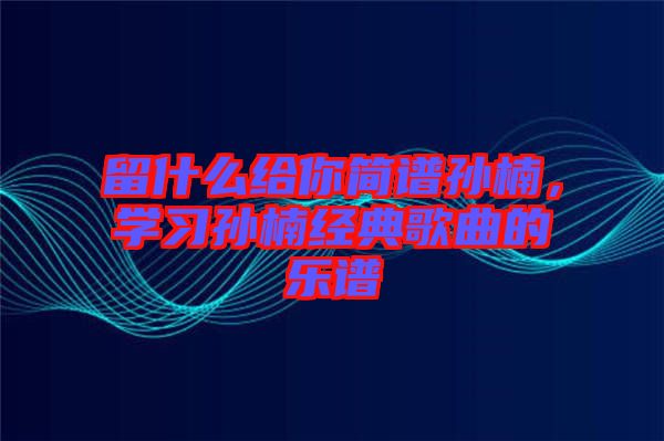 留什么給你簡譜孫楠，學(xué)習(xí)孫楠經(jīng)典歌曲的樂譜