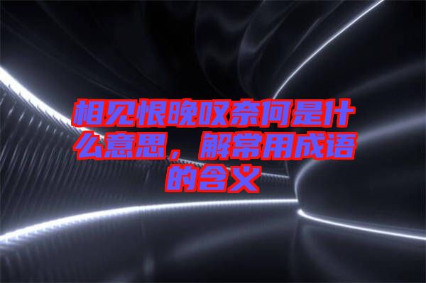 相見恨晚嘆奈何是什么意思，解常用成語的含義