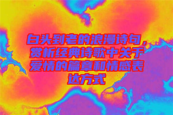 白頭到老的浪漫詩句，賞析經(jīng)典詩歌中關于愛情的篇章和情感表達方式