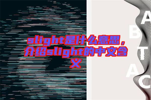 slight是什么意思，介紹slight的中文含義