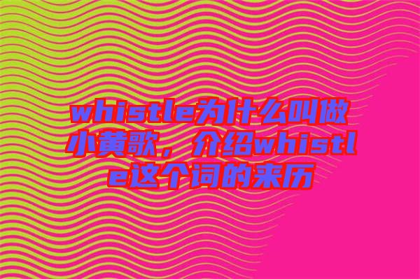 whistle為什么叫做小黃歌，介紹whistle這個詞的來歷