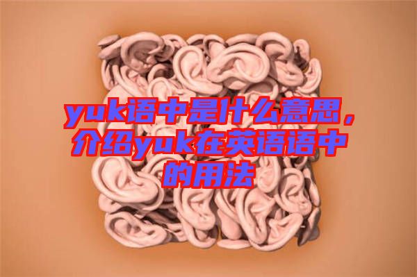 yuk語(yǔ)中是什么意思，介紹yuk在英語(yǔ)語(yǔ)中的用法