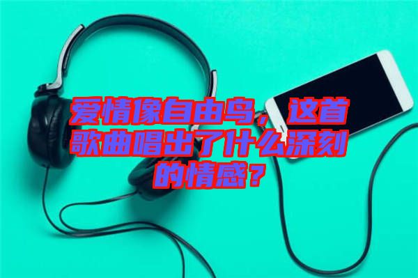 愛情像自由鳥，這首歌曲唱出了什么深刻的情感？