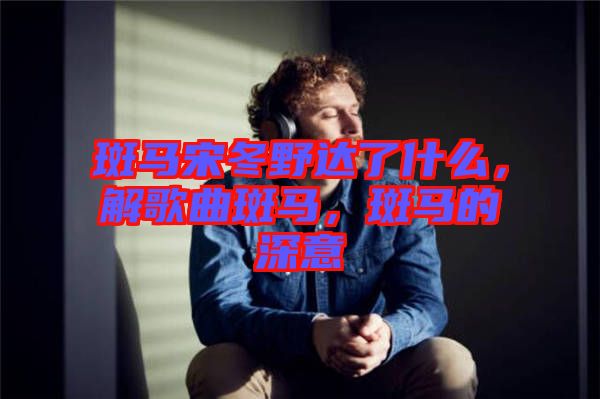 斑馬宋冬野達(dá)了什么，解歌曲斑馬，斑馬的深意