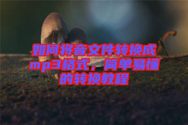 如何將音文件轉(zhuǎn)換成mp3格式，簡單易懂的轉(zhuǎn)換教程