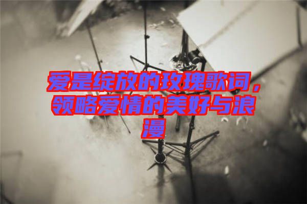 愛是綻放的玫瑰歌詞，領(lǐng)略愛情的美好與浪漫