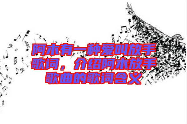 阿木有一種愛叫放手歌詞，介紹阿木放手歌曲的歌詞含義