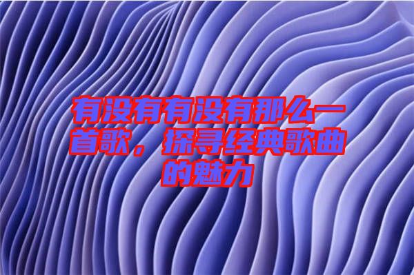 有沒有有沒有那么一首歌，探尋經(jīng)典歌曲的魅力