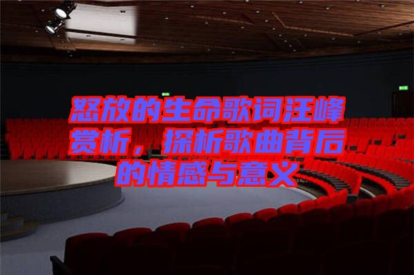 怒放的生命歌詞汪峰賞析，探析歌曲背后的情感與意義