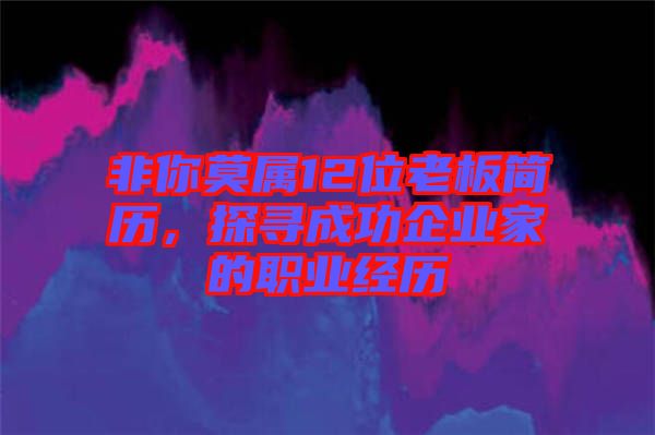 非你莫屬12位老板簡歷，探尋成功企業(yè)家的職業(yè)經(jīng)歷