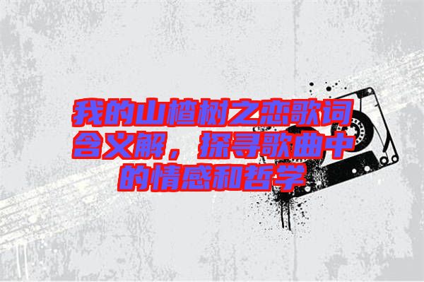 我的山楂樹之戀歌詞含義解，探尋歌曲中的情感和哲學(xué)