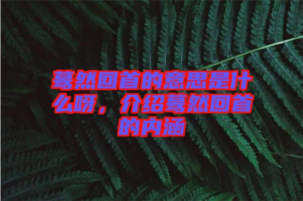 驀然回首的意思是什么呀，介紹驀然回首的內(nèi)涵