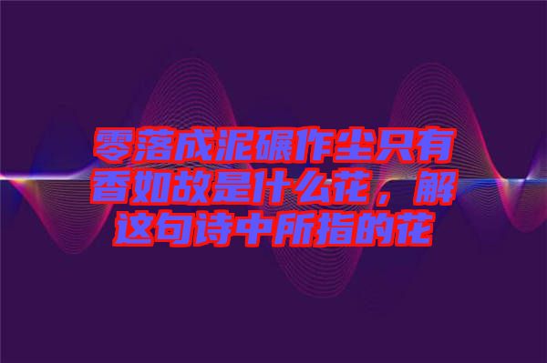 零落成泥碾作塵只有香如故是什么花，解這句詩中所指的花