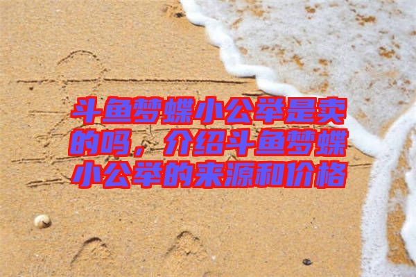 斗魚夢蝶小公舉是賣的嗎，介紹斗魚夢蝶小公舉的來源和價格