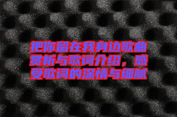 把你留在我身邊歌曲賞析與歌詞介紹，感受歌詞的深情與細(xì)膩