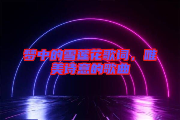 夢中的雪蓮花歌詞，唯美詩意的歌曲