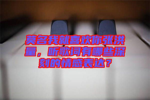 莫名我就喜歡你張洪量，聽歌詞有哪些深刻的情感表達？