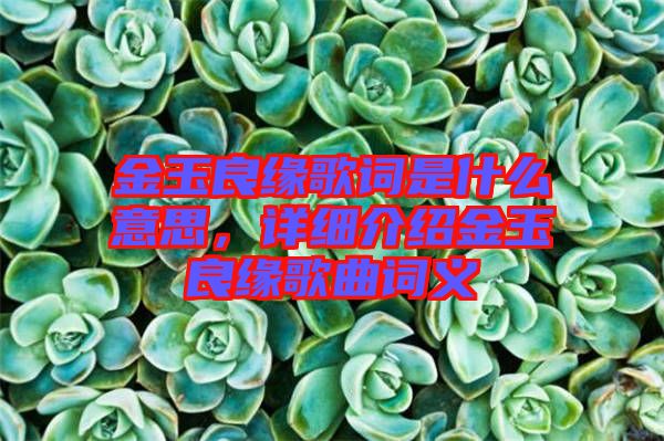 金玉良緣歌詞是什么意思，詳細(xì)介紹金玉良緣歌曲詞義