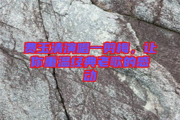 費(fèi)玉清演唱一剪梅，讓你重溫經(jīng)典老歌的感動