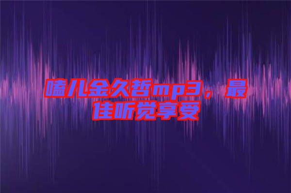 嗑兒金久哲mp3，最佳聽覺享受