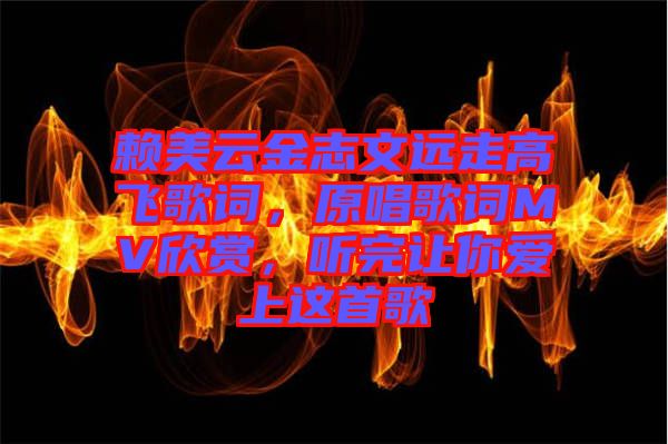 賴美云金志文遠(yuǎn)走高飛歌詞，原唱歌詞MV欣賞，聽完讓你愛上這首歌