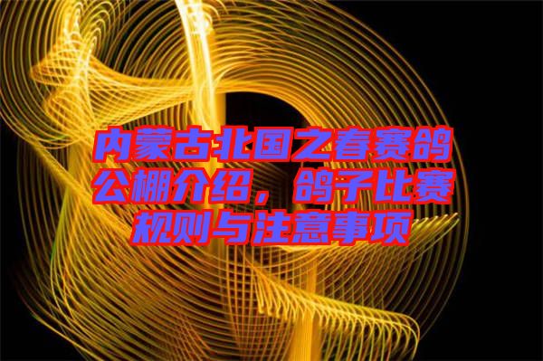 內(nèi)蒙古北國之春賽鴿公棚介紹，鴿子比賽規(guī)則與注意事項