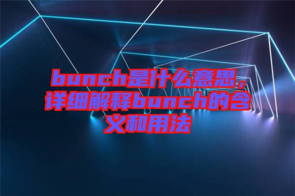 bunch是什么意思，詳細解釋bunch的含義和用法