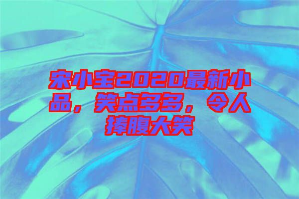 宋小寶2020最新小品，笑點(diǎn)多多，令人捧腹大笑