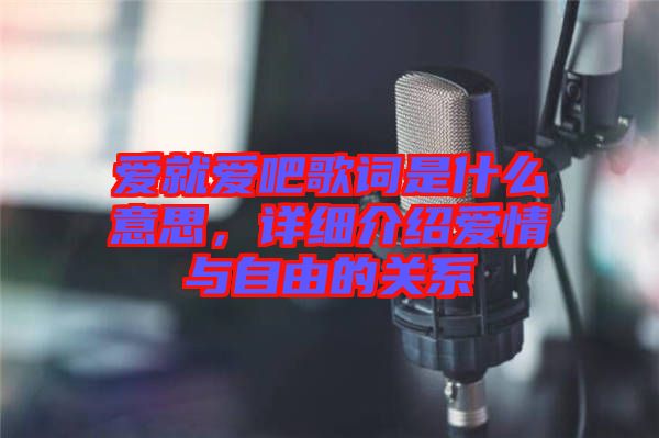 愛就愛吧歌詞是什么意思，詳細(xì)介紹愛情與自由的關(guān)系