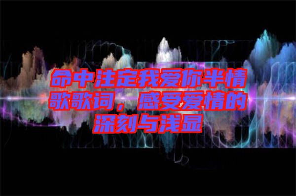 命中注定我愛(ài)你半情歌歌詞，感受愛(ài)情的深刻與淺顯