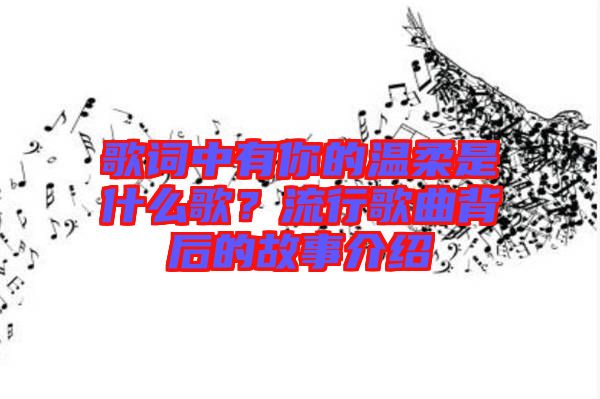 歌詞中有你的溫柔是什么歌？流行歌曲背后的故事介紹