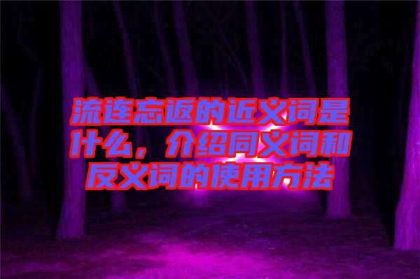 流連忘返的近義詞是什么，介紹同義詞和反義詞的使用方法